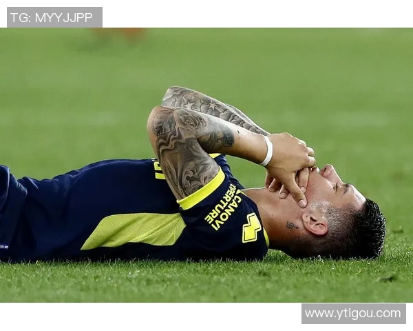 足球巨星登场：走进世界足坛的璀璨明星与传奇之路